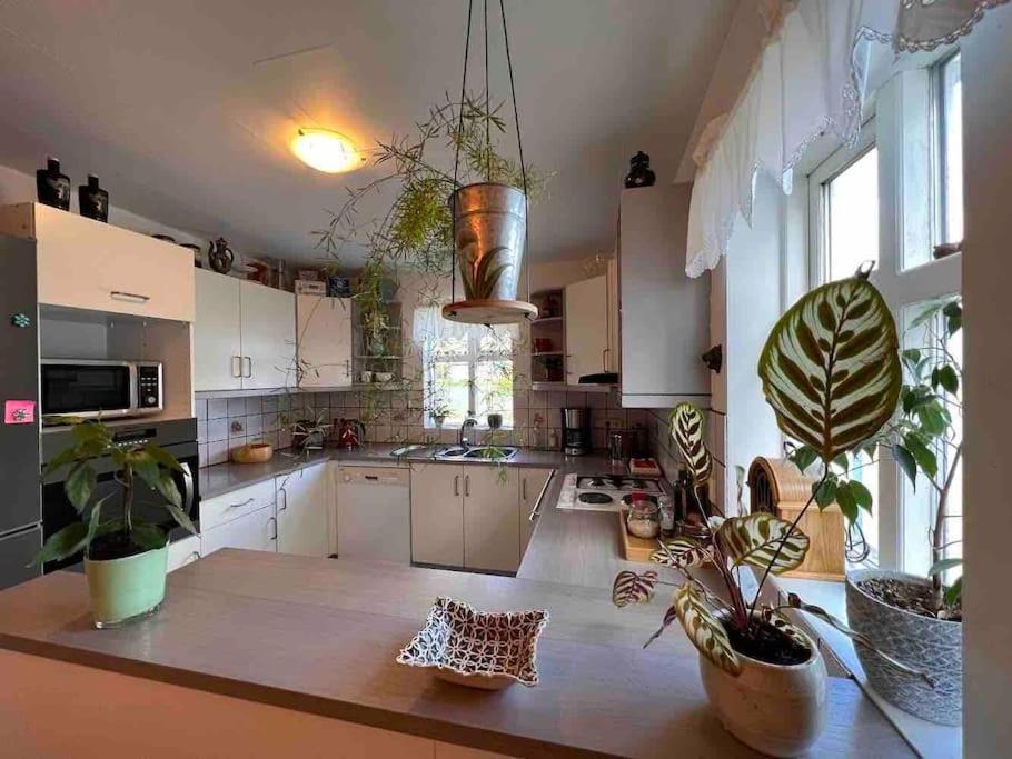 Apartamento Nylenda Seyðisfjörður Exterior foto
